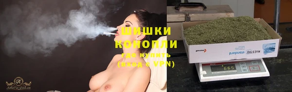 гашик Осташков